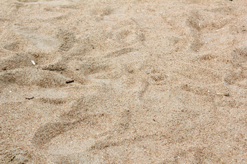 Fototapeta na wymiar Lines in the sand of a beach