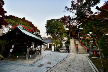大阪と奈良の信貴山の寺の紅葉