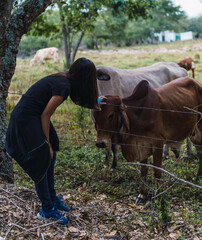 Unrecognizable teen petting a brown cow in the head through a fence on a field