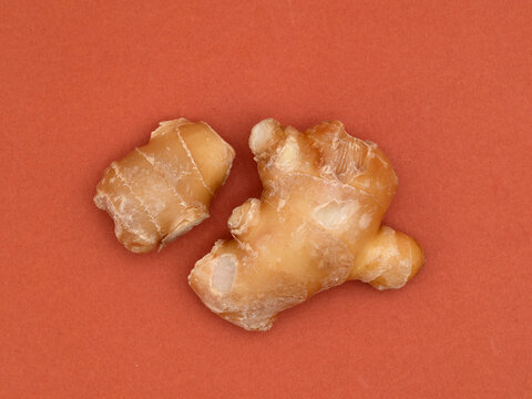 土ショウガ Images Browse 65 Stock Photos Vectors And Video Adobe Stock