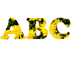 abc letter logo, Alphabet Sunflowers Yellow Abc, 3d illustration	