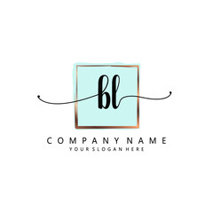 BL Initial handwriting logo template vector
