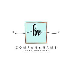 BV Initial handwriting logo template vector
