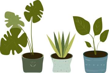 Urban jungle, trendy home decor with plants isolated on white background. Set of beautiful natural home decoration