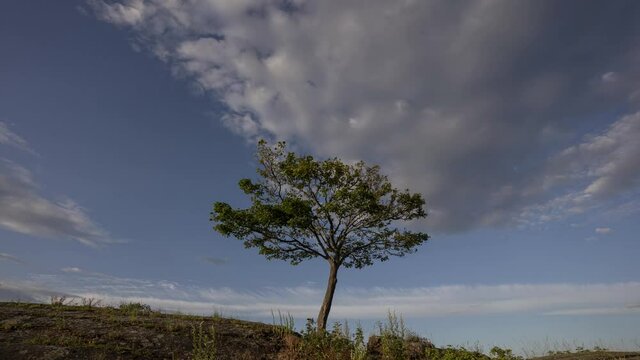 Dramatic time lapse video of clouds moving over alone tree