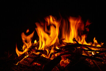 Campfire close up at night with black background. Fire heat adventure camping concept