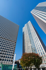 Obraz premium 【東京都】都市景観 霞が関のビル群