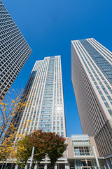 Obraz premium 【東京都】都市景観 霞が関のビル群