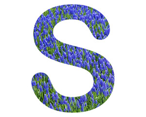 s letter logo, Alphabet Purple flowers Abc, 3d illustration	