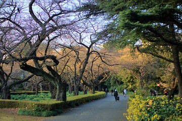公園