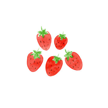Five Strawberries by watercolor on white background