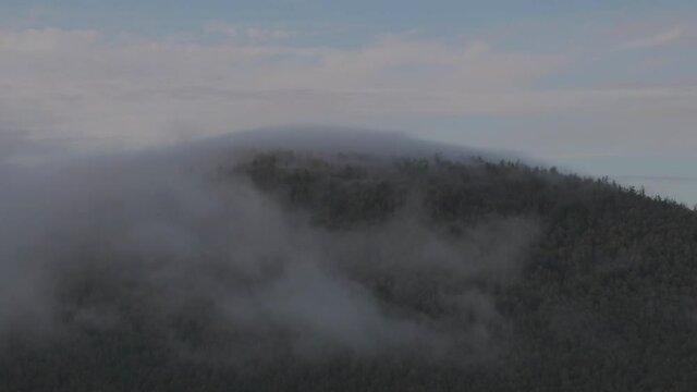 Clouds scudding over the forest canopy. Mist rolling through trees