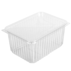 Reusable plastic transparent box for takeaway food, picnic, salad for shop isolated on white