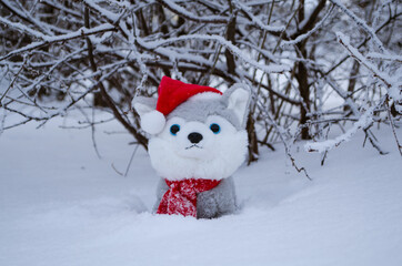 New Year's picture, a dog in a red hat with a snow-covered branch
