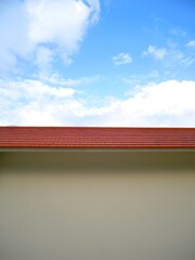 blue sky and green grass