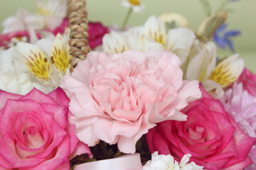 close up carnation flower in another flower background. pink cloves flowers . 