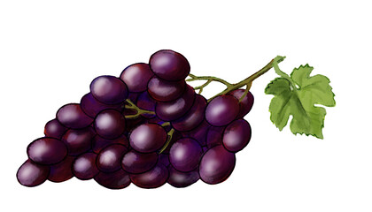 Purple grape with green leaf.