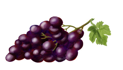 Purple grape with green leaf.