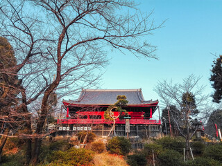 Traditional japanese red pagoda in Japan