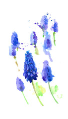 Fototapeta na wymiar Illustration with watercolor hand painted lupines