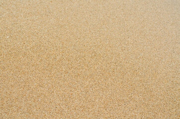 Fototapeta na wymiar fine sand texture on the beach
