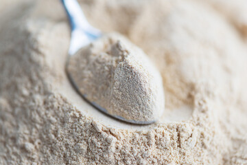 Lecithin powder in a spoon. Selective focus.