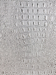 Crocodile skin texture