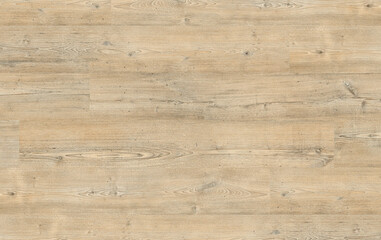 Wood oak tree close up texture background. Wood planks surface with natural pattern. Wooden laminate flooring
