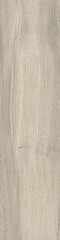 Fototapeta premium nature wood background