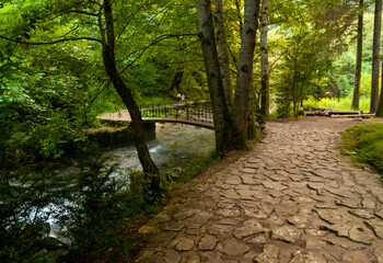 A path in the shady gorge of the Psyrdzkha river. Tourists across the bridge, go to the cell...