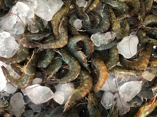 Fresh shrimp to cook raw material. Fresh frozen shrimp in the supermarket