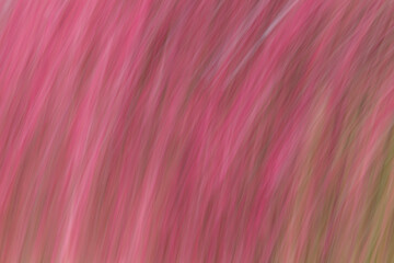 Fototapeta premium Artsy motion blurred pink flowers