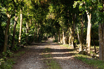 Fototapeta premium Beautiful ballast road