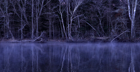 冬の朝の湖畔の森。朝靄の湖面に映る木々。