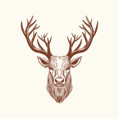 Vector vintage deer head. Hand drawn illustration with deer portrait isolated on white background.