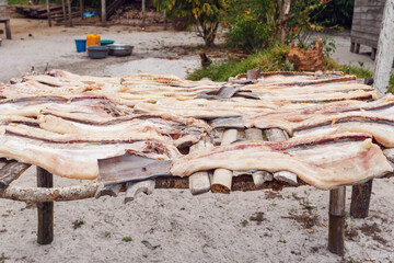 Drying fish in the sun on small village in Masoala, Madagascar.