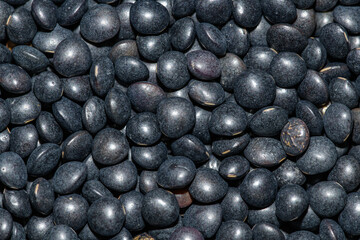 black lentil seeds in detail
