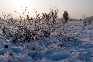 Piękna i mroźna zima na Podlasiu, Polska