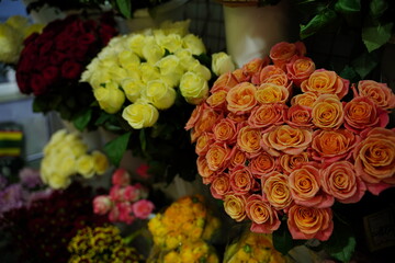 Bouquets of various flowers on counter. Fresh beautiful flowers in florist shop.