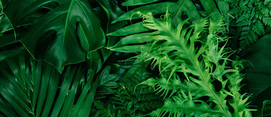 Naklejka na ściany i meble Abstract green leaves nature texture background. Creative layout for design