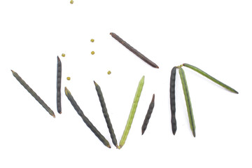 Mung beans and  pods isolated on white background