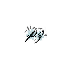 PZ Initial handwriting logo template vector 