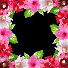 Beautiful flower frame made of hibiscus, Chinese rose and mallow. Isolated
