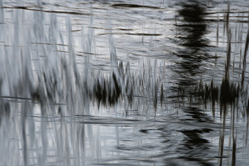 reflection in the water