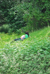Man and woman having a sexual encounter in the grass outdoors.