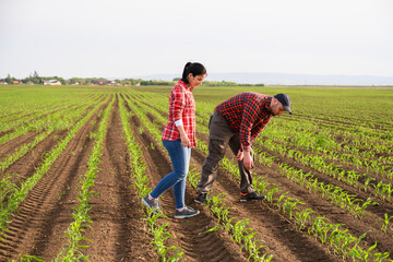 Young farmers examing planted soy