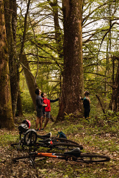 Group of cyclists resting outdoors leaving their mountain bikes on the ground - The cycling friends stop to rest and admire a big tree .