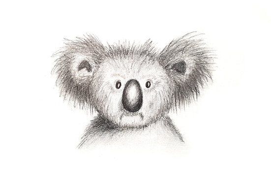 illustration of a panda