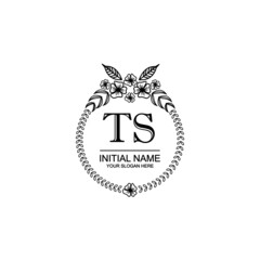 TS Initial handwriting logo template vector 