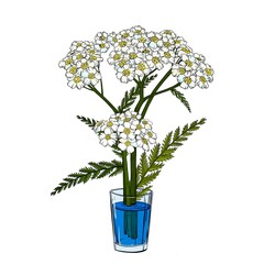 a yarrow flower stands in a glass of blue water